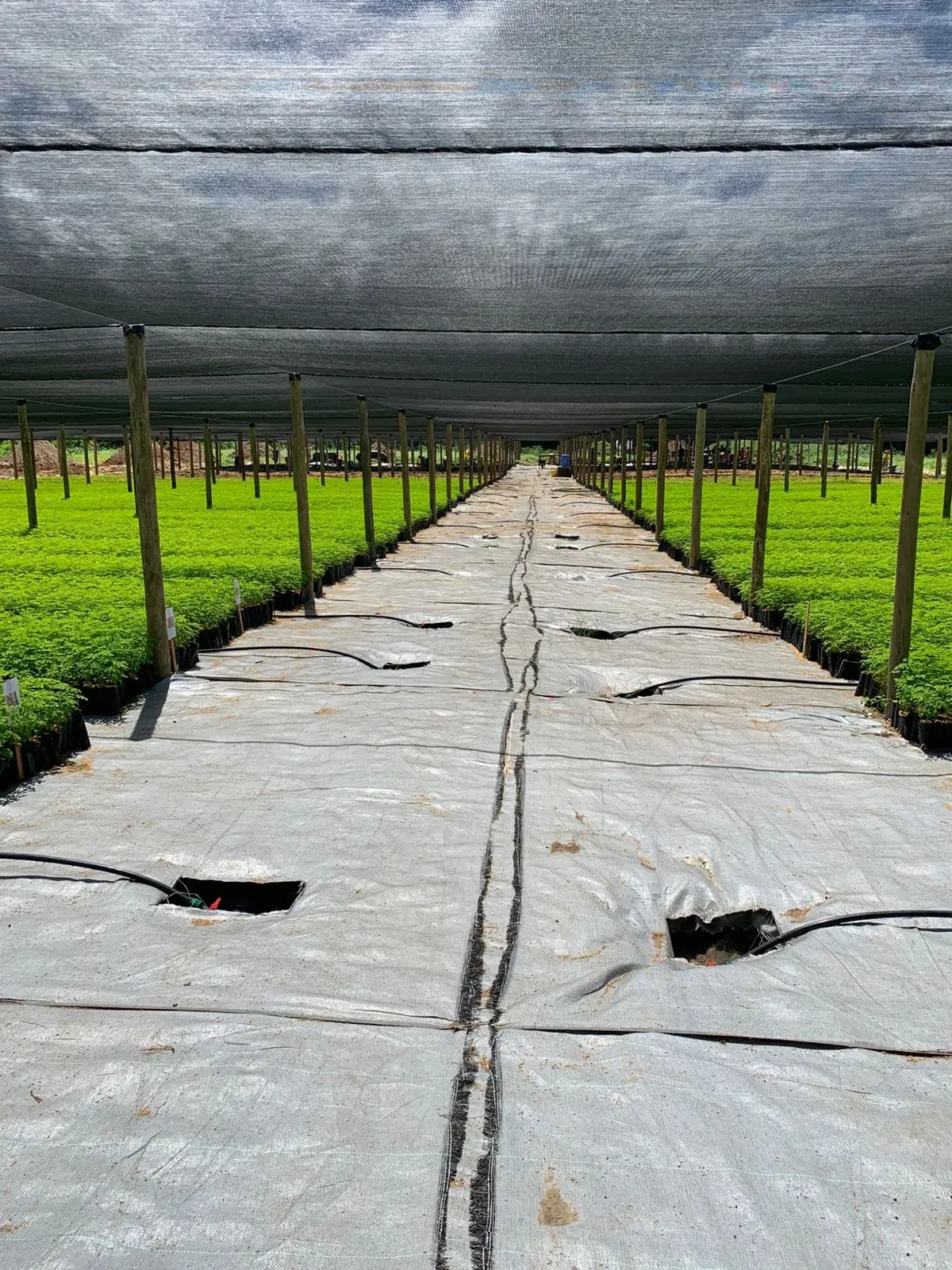 Sustainable Production Inputs